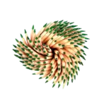 Scobitori mentolate ambalate individual 1000 buc